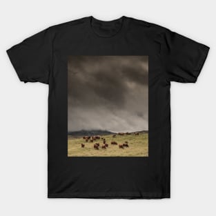 'The Coos, The Clouds and The Clegs', Monzie, Blair Atholl, near Pitlochry. T-Shirt